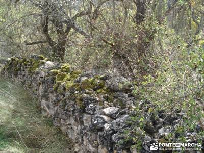 Hoces del Río Duratón - Sepúlveda;reto senderismo desafío senderista sierra de guadarrama sender